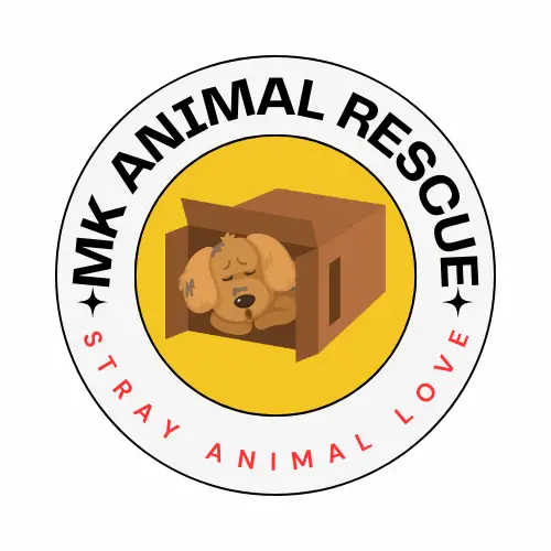 middlekingdomrescue.com