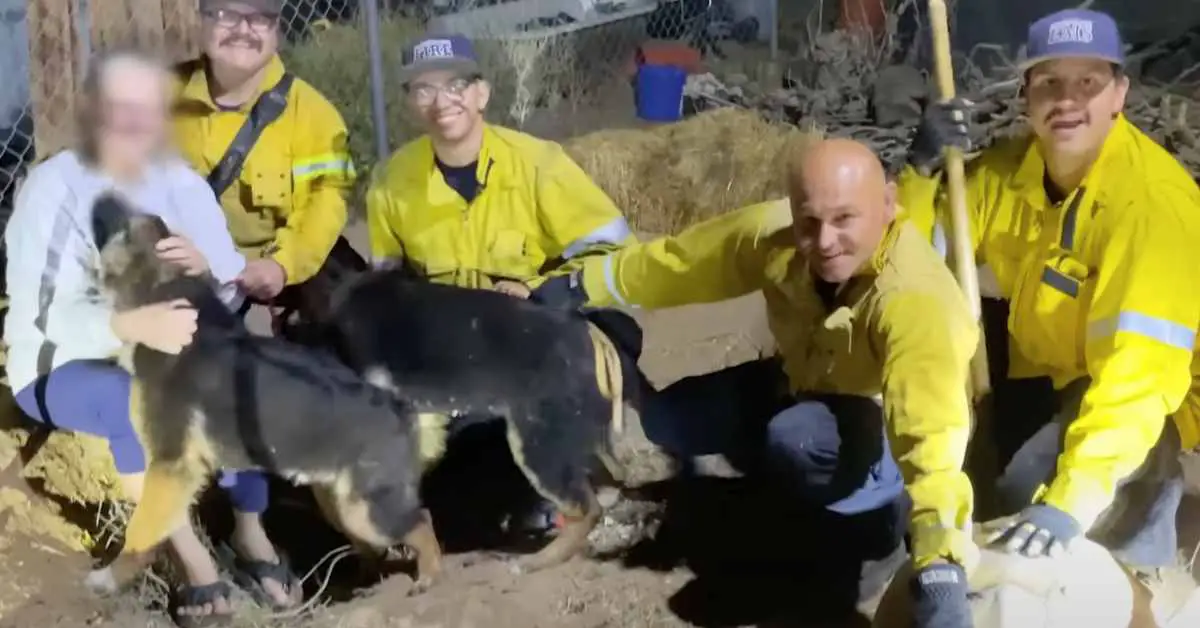 firemen rescuing two puppies