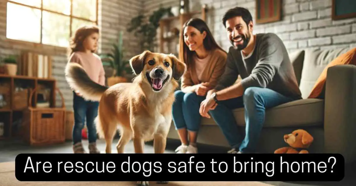 are rescue dogs safe to bring home