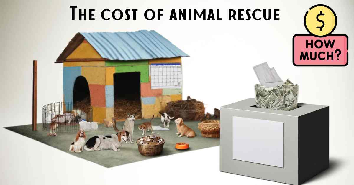 how much animal rescue costs