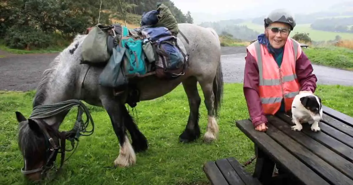 80-year-old-lady-with-horse-and-disabled-dog