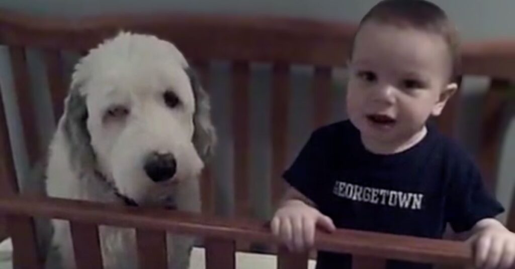 baby stood beside dog in crib