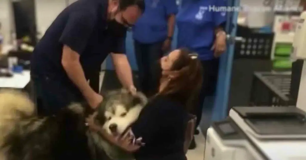 family reunion with dog