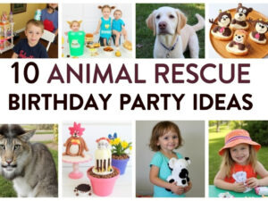 10 animal rescue birthday party ideas