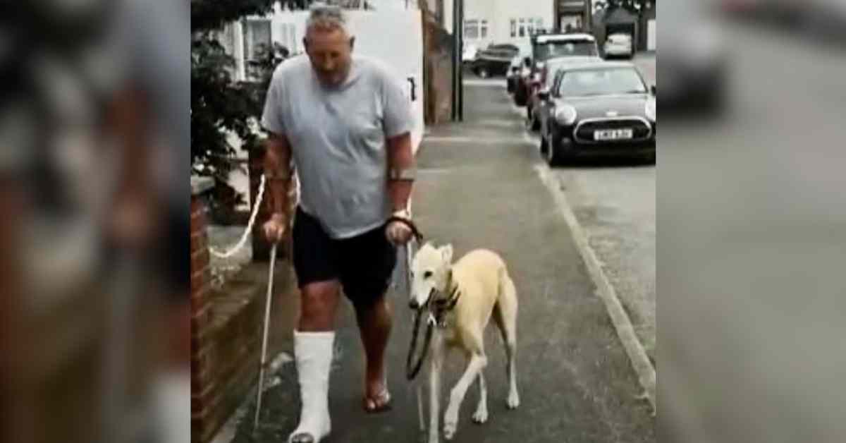 dog copying owners limp