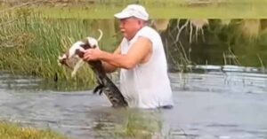 man wrestling alligator to save puppy